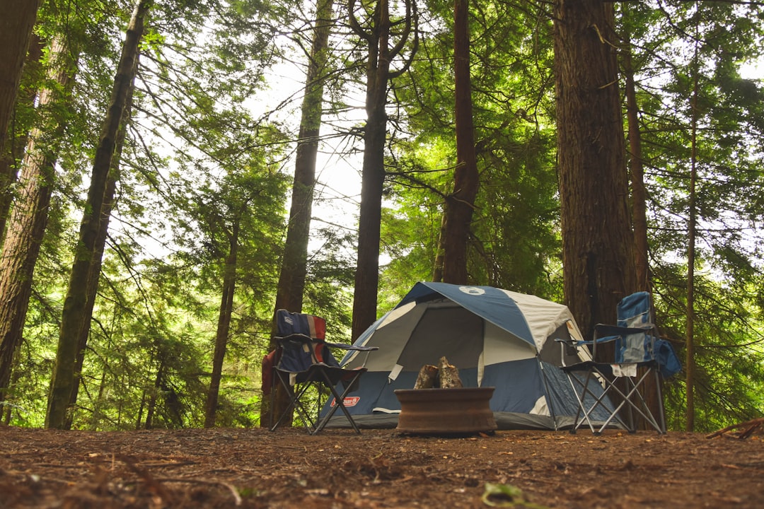 How to Choose the Right Camping Accessories for Beginners How to Choose the Right Camping Accessories for Beginners